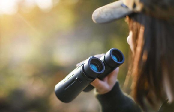 The Ultimate Guide to Choosing the Right Binoculars