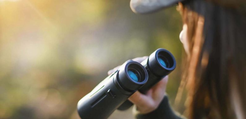 The Ultimate Guide to Choosing the Right Binoculars