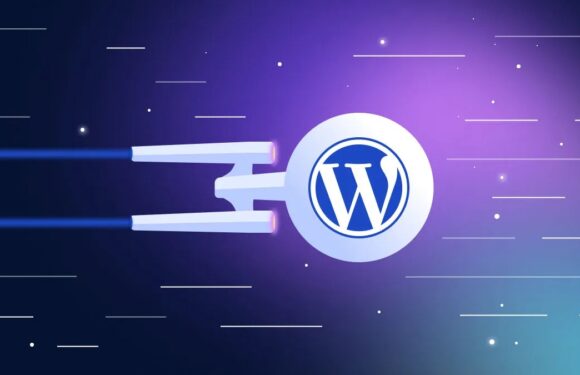 A Comprehensive Guide to WordPress in 2024: Features, Flexibility, and Future Prospects