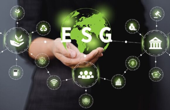 ESG Software: A Beginner’s Guide to the Benefits