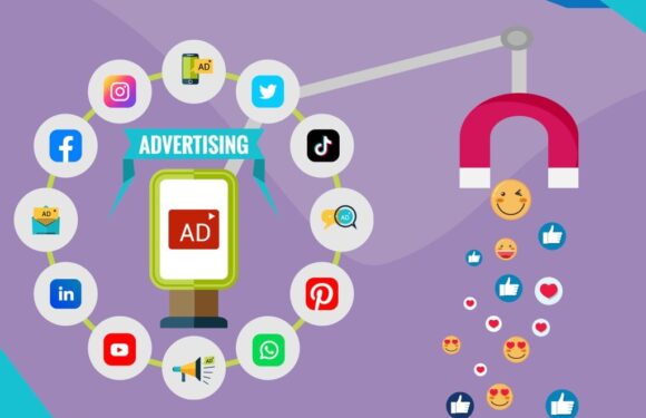 Social Media Ad Campaigns and Audience Targeting