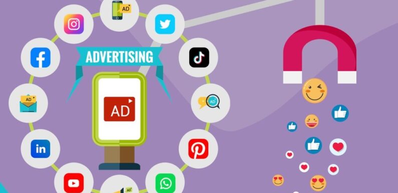 Social Media Ad Campaigns and Audience Targeting