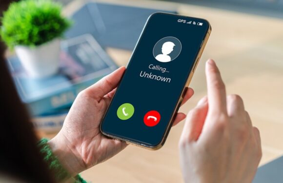 Uncovering the Advantages of Reverse Phone Lookup Tools