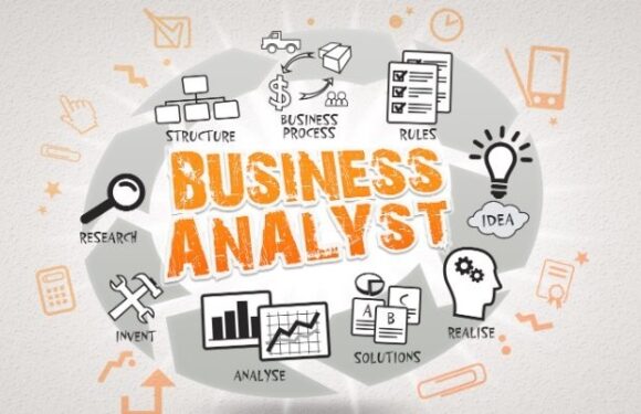 Organisational Data Literacy Programmes: Assessing and Improving Enterprise-Wide Analytical Competence
